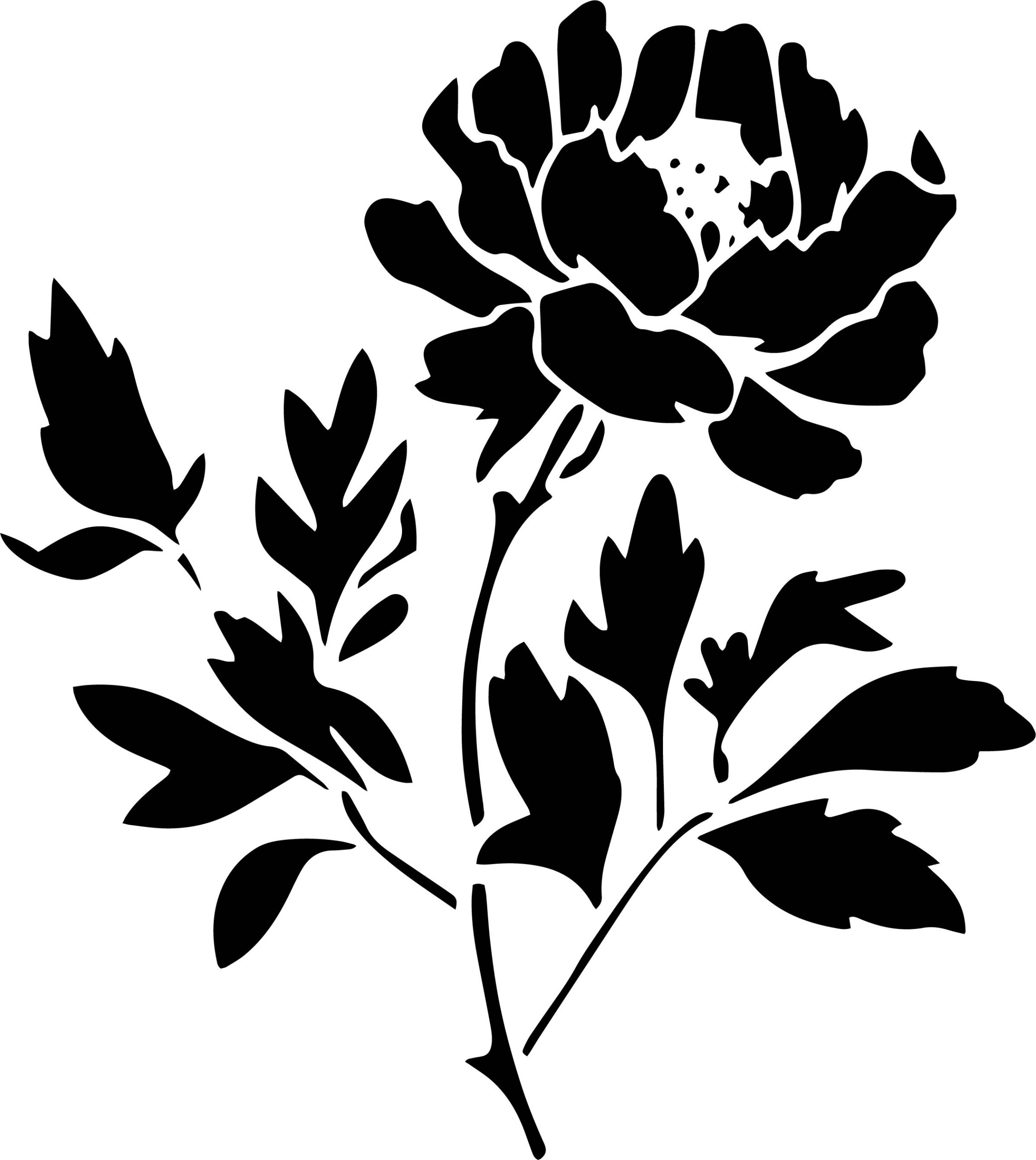 Peony Flower Stencil
